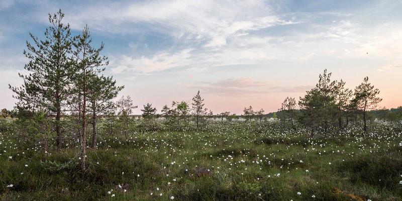 40+熟龄肌抗衰革命：破解胶原蛋白断崖式流失，重塑紧致弹润的终极方案