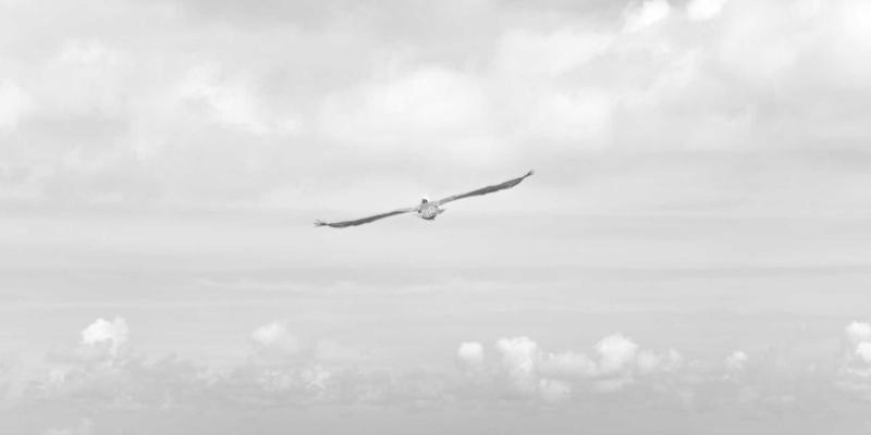 从复古美妆到科技护肤：家用美容仪深度评测与选购全指南