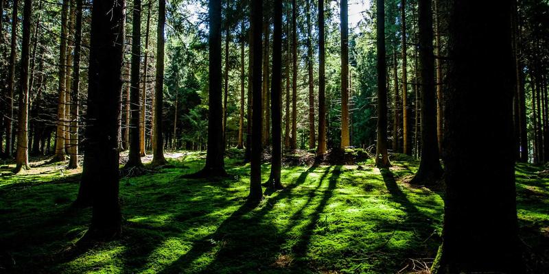 光损伤修复全攻略:不止防晒,3大策略逆转深层老化与顽固色沉 | KeepMay复古美妆启示录