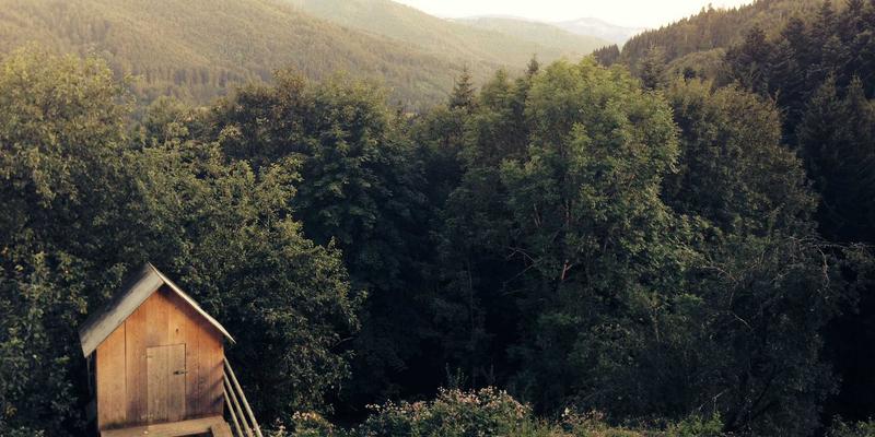 告别熟龄肌毛孔烦恼:从胶原流失到油脂过剩的精准护肤指南