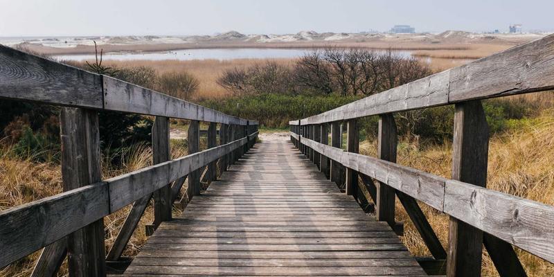复古美妆启示录：别让颈纹与手部肌肤暴露年龄，揭秘“第二张脸”的抗衰全攻略