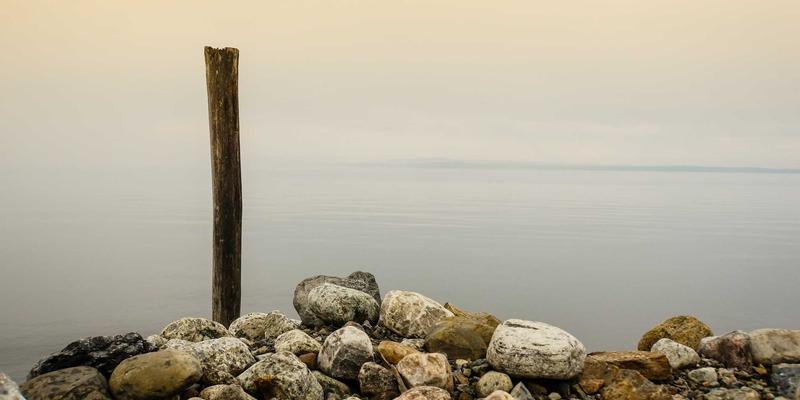 复古美妆重现光彩?揭秘肠道、荷尔蒙与压力如何主宰你的肌肤状态