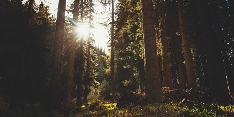 微生态护肤新纪元:从复古发酵智慧到现代益生元科技,如何养出健康稳定肌肤 | KeepMay护肤秘籍