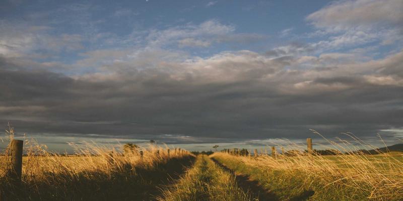 男士专属护肤指南:针对油脂、角质与剃须损伤的科学护理全流程